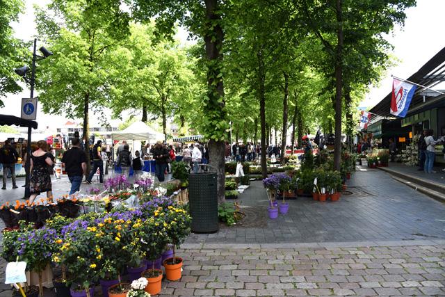 min 2017 05 20 venlo 098